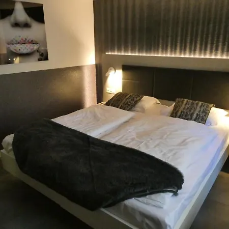 & Elegant Apartments,partially With Fireplace, By Zermatt