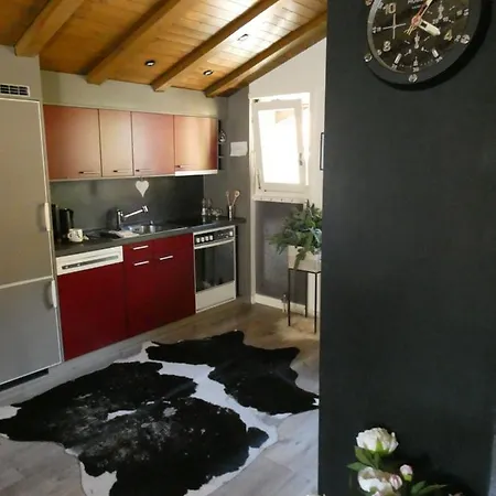 Apartment Central & Elegant Apartments,Partially With Fireplace, By Zermatt Rental *