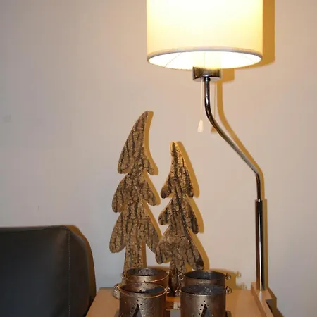 Central & Elegant Apartments,Partially With Fireplace, By Zermatt Rental * Zermatt