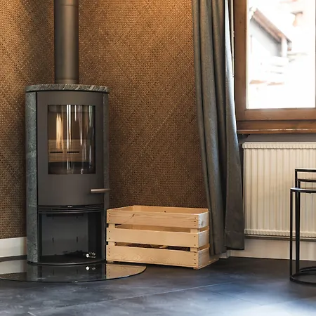 & Elegant Apartments,partially With Fireplace, By Zermatt