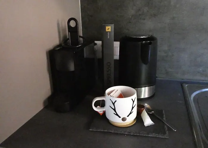 & Elegant Apartments,partially With Fireplace, By Zermatt