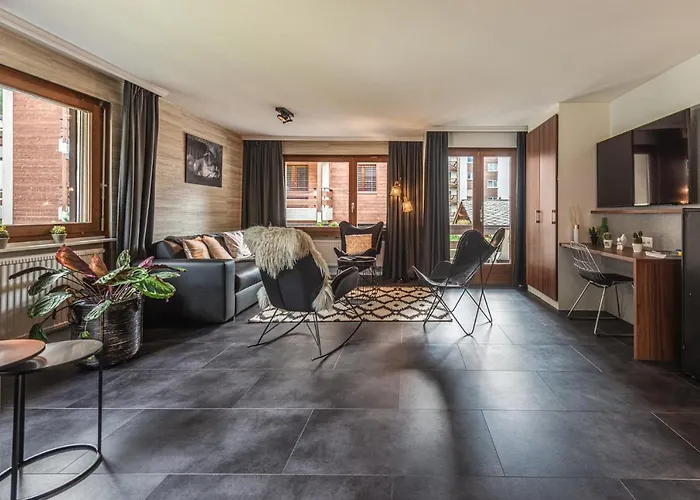 & Elegant Apartments,partially With Fireplace, By Zermatt