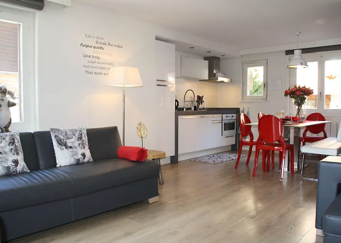 Apartment & Elegant Apartments,partially With Fireplace, By