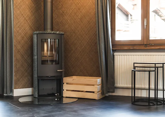 & Elegant Apartments,partially With Fireplace, By Zermatt