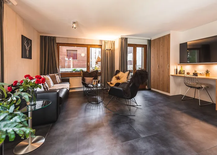 & Elegant Apartments,partially With Fireplace, By Zermatt