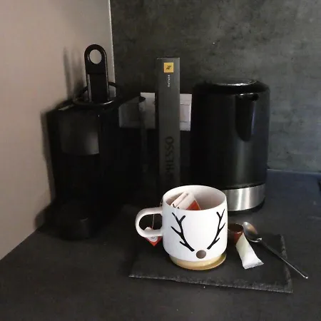 & Elegant Apartments,partially With Fireplace, By Zermatt