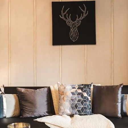 & Elegant Apartments,partially With Fireplace, By