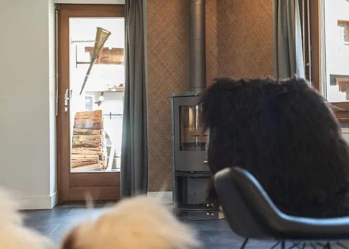 公寓 & Elegant Apartments,partially With Fireplace, By *